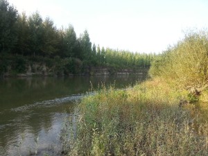 20160915_163955.jpg