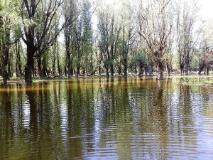 20180420_gemenc-vizitura-kenutura-44_resized.jpg