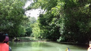 20180624_124500.jpg