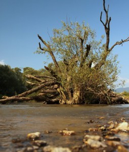 zsadany-es-abaujvar-kozott.jpg