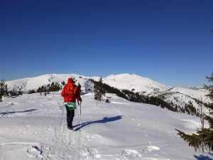 20190219_094543.jpg