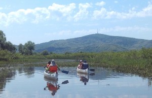240511_bodrogzugi-arter-vizitura.jpg