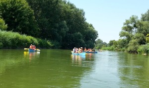 20130804_132948.jpg