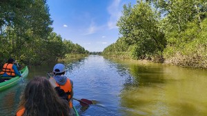 img_20250510_142435570.jpg